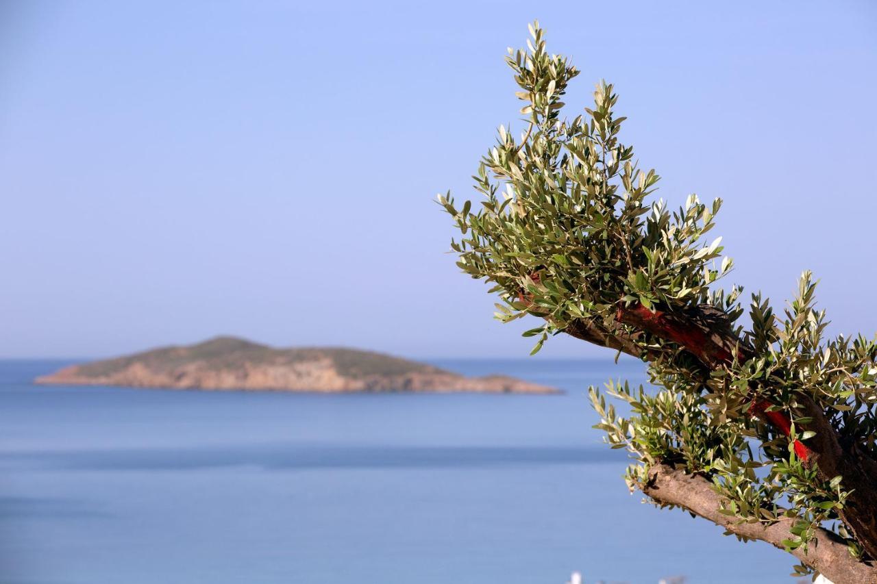 Elia Privileged Suites Andros Ανδροσ Exteriör bild